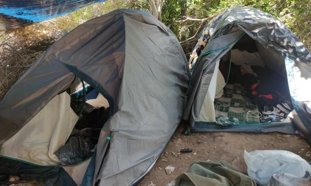 Εντοπισμός μεγάλης χασισοφυτείας στην Εύβοια και σύλληψη τεσσάρων ατόμων